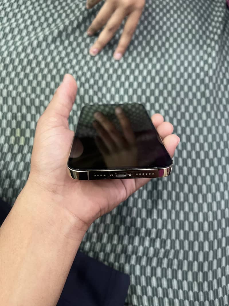 IPHONE 13 pro max 2