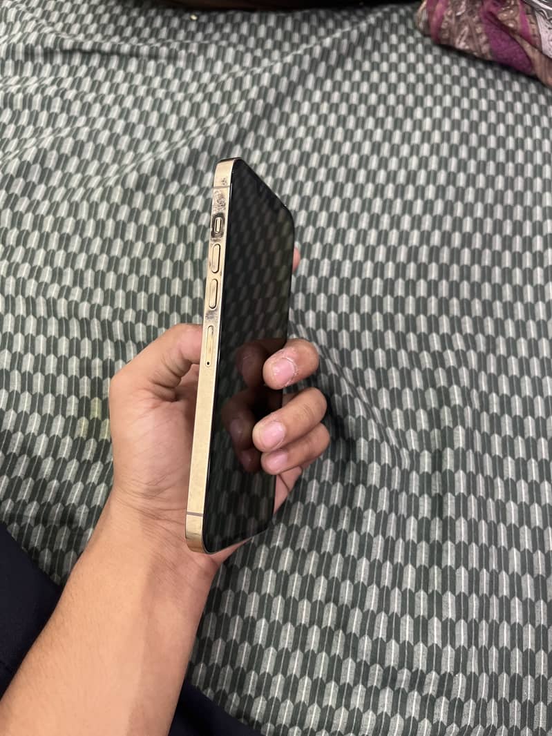 IPHONE 13 pro max 4