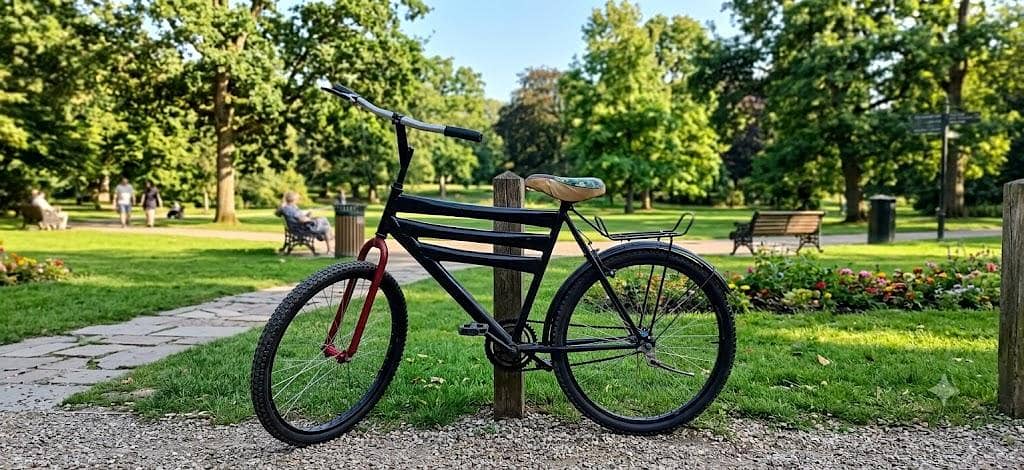 phoenixes bicycle 0