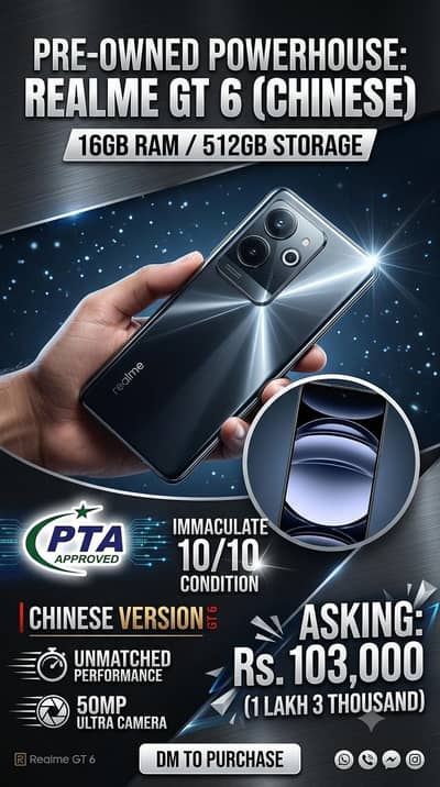 Realme GT 6 (Chinese)