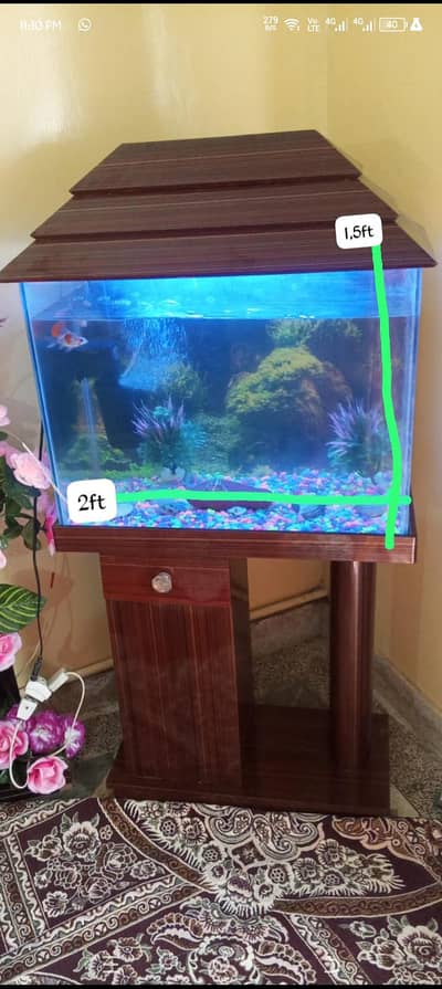 aquarium with all decorations light filter table