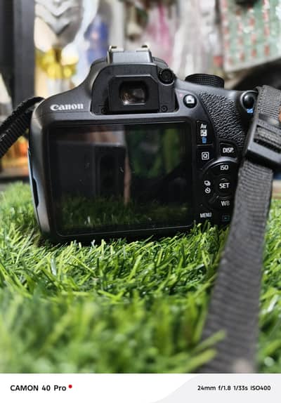 D1200 camera