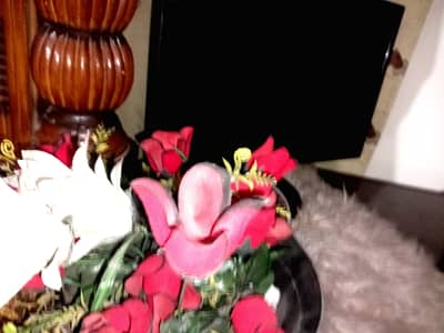 Dell Monitor for Sale – Good Condition