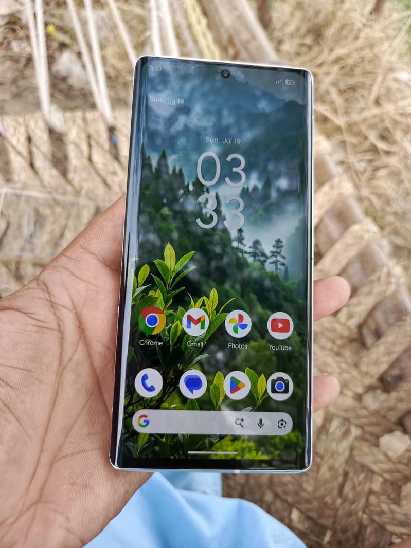 Google Pixel 6 Pro 2