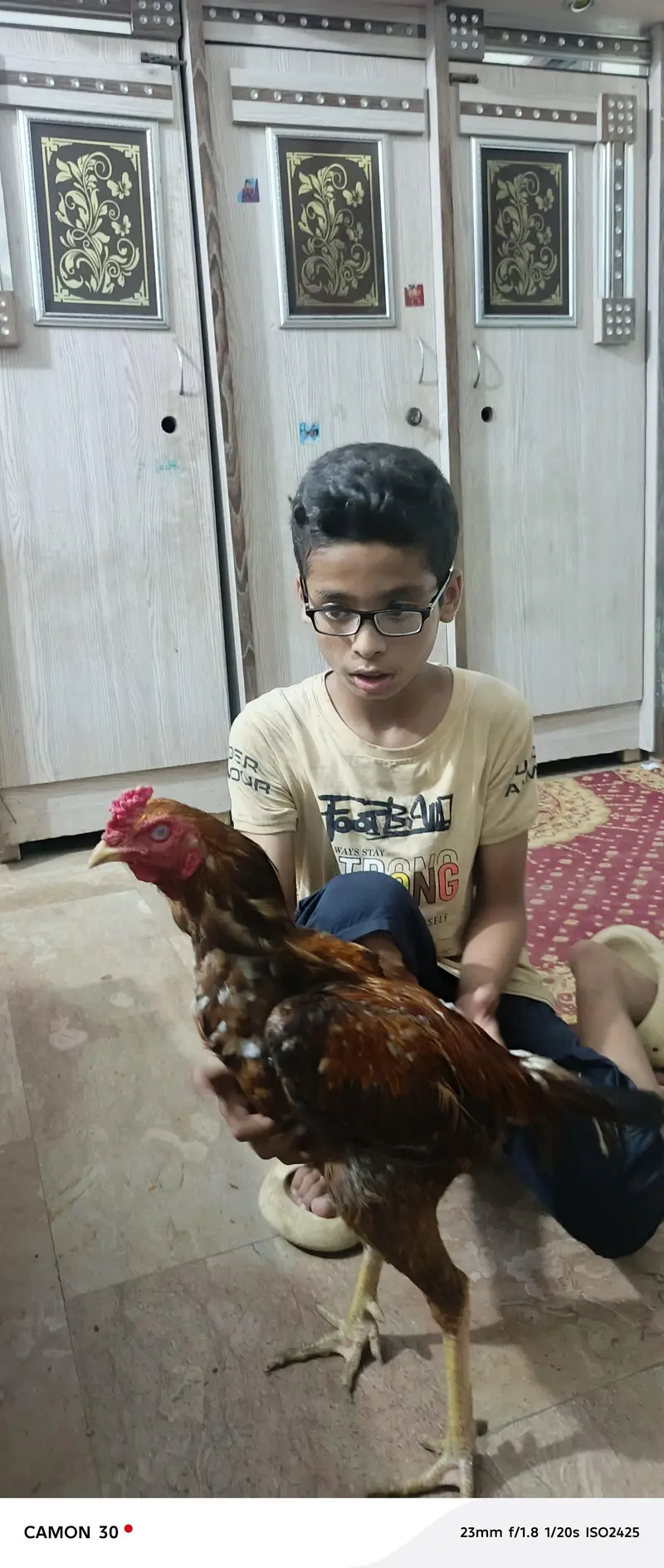 pure aseel ghr ka — photo 4