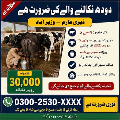dairy farm
