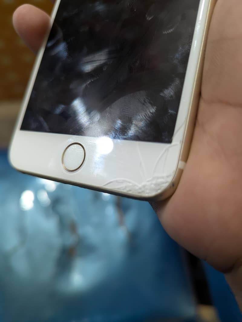 Apple iPhone 6S Plus 1