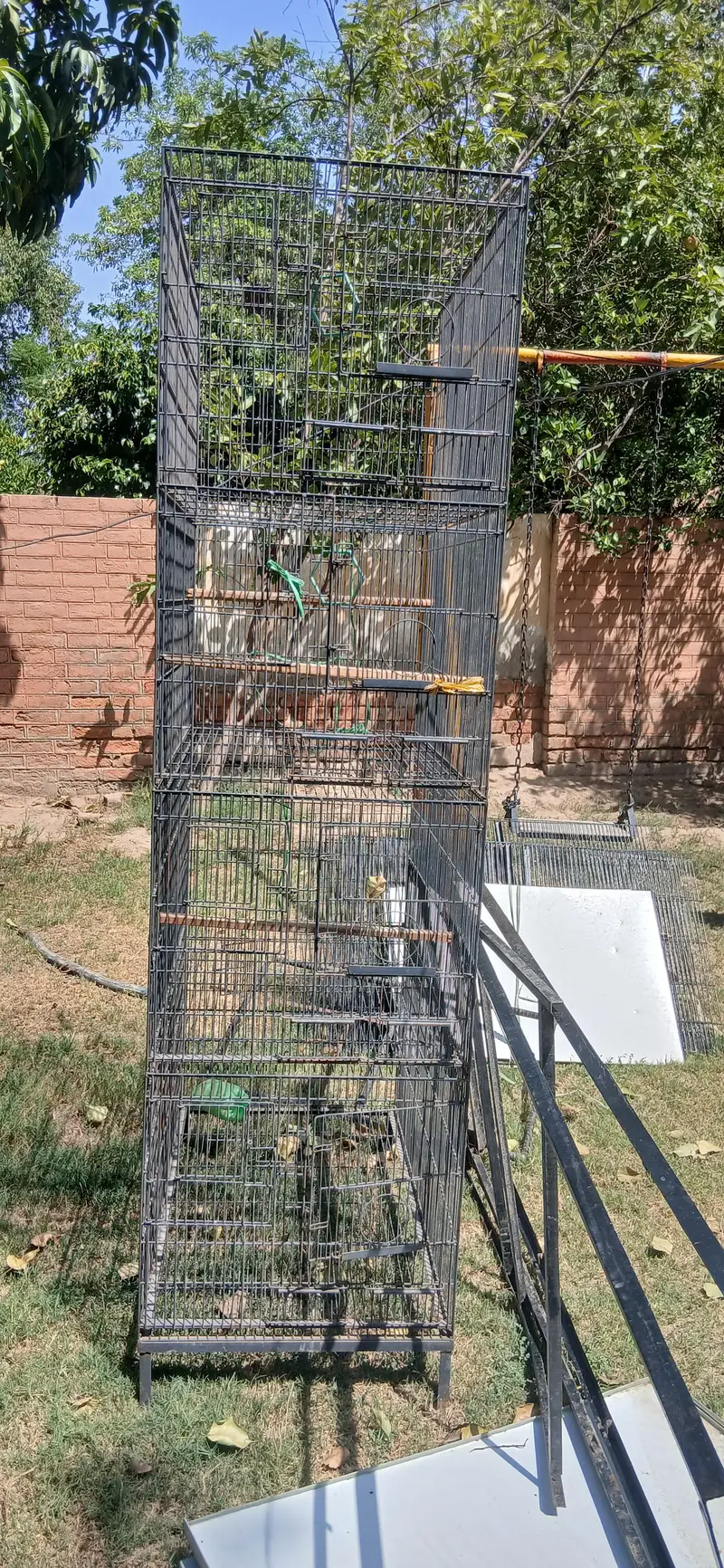 4 Portion Large Cage for Birds (Love Birds, Pigeons, Parrots) — photo 2