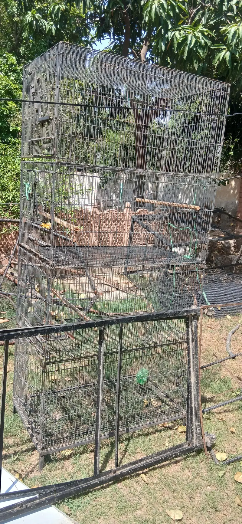 4 Portion Large Cage for Birds (Love Birds, Pigeons, Parrots) — photo 3