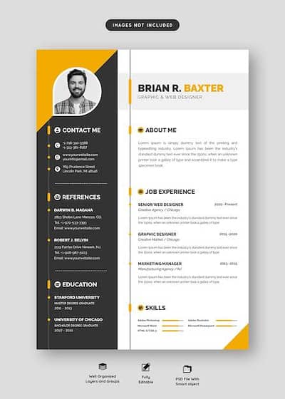 professional CV / resume designer