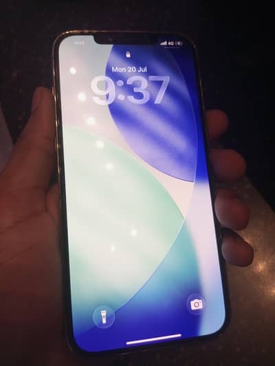 Apple iPhone 12 Pro Max
