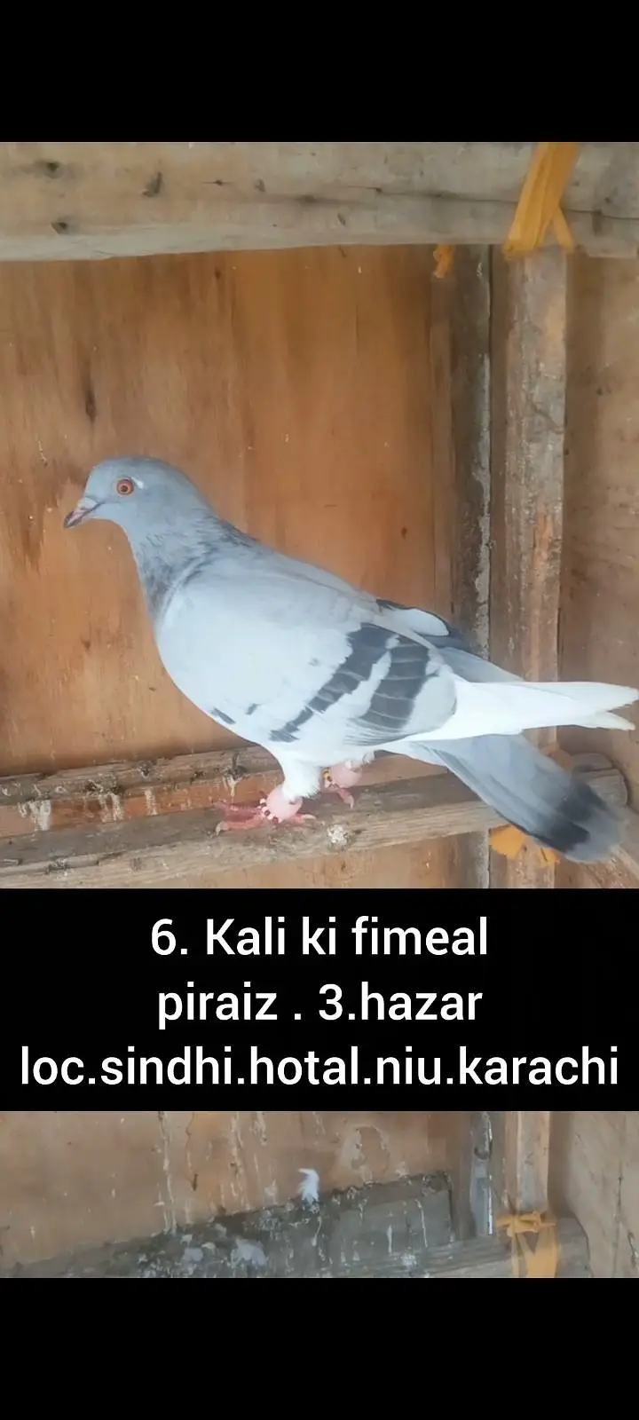 6. kali ki fimal channi pathi