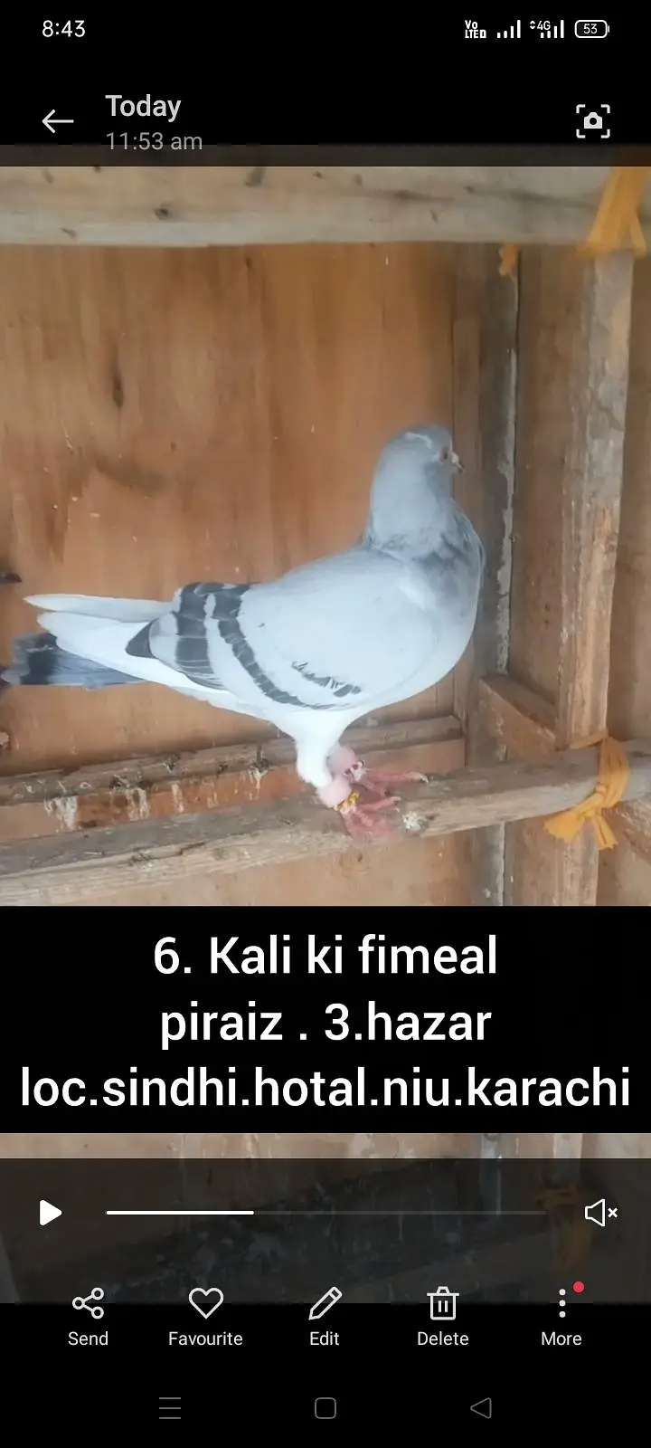 6. kali ki fimal channi pathi — photo 2