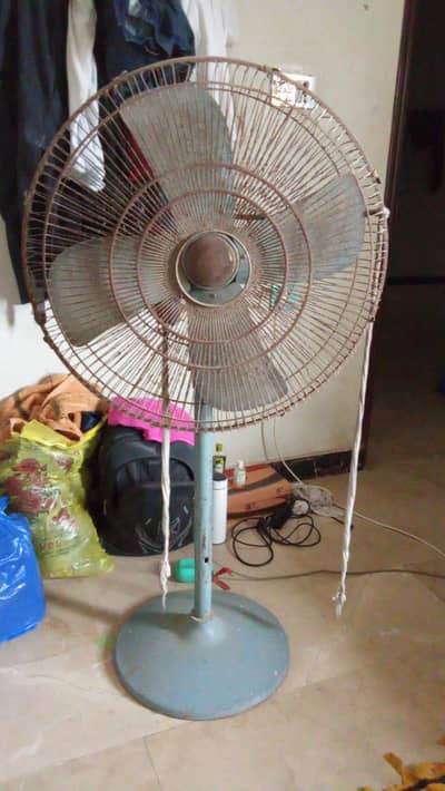 fans 