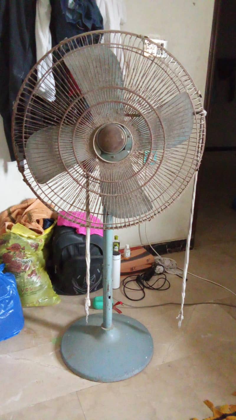 fans  0