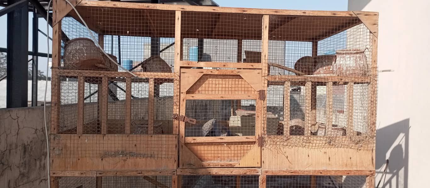 hen cages 1
