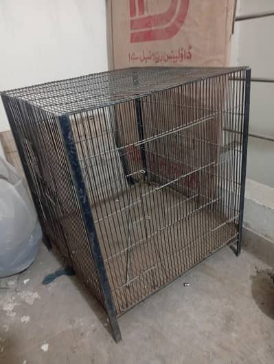 hens or parrots cage