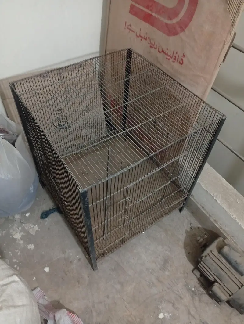 hens or parrots cage — photo 2