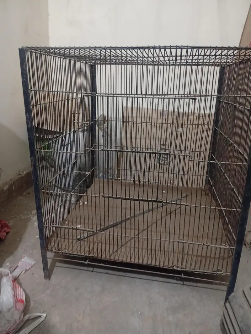 hens or parrots cage — photo 3