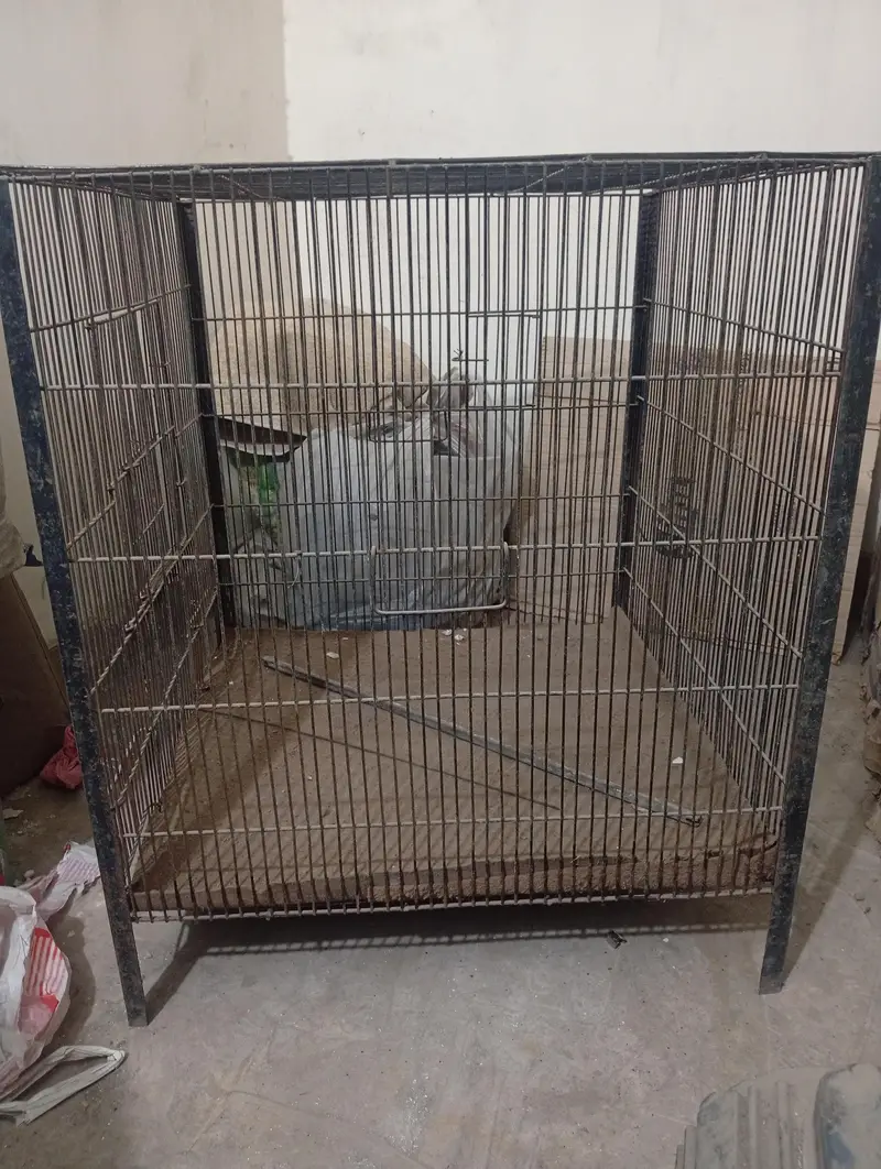 hens or parrots cage — photo 4