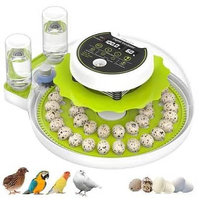 Egg Incubator
