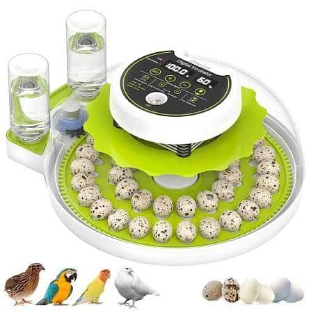 Egg Incubator 0