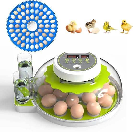 Egg Incubator 1