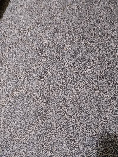 carpet for sale