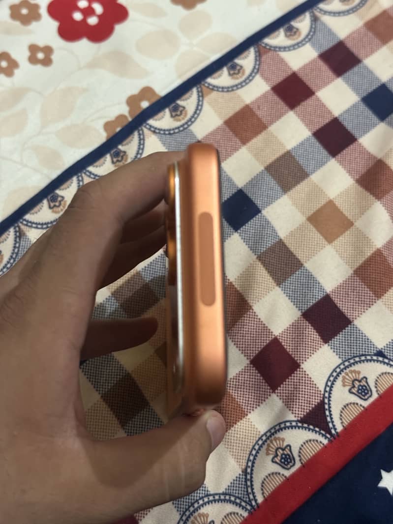 17 pro max 1