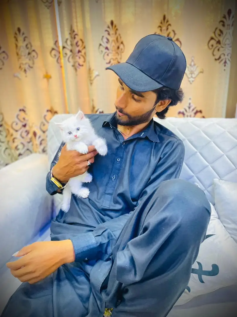 persian cats and kittens for sale wtsapp (0307/710/92/69) — photo 8