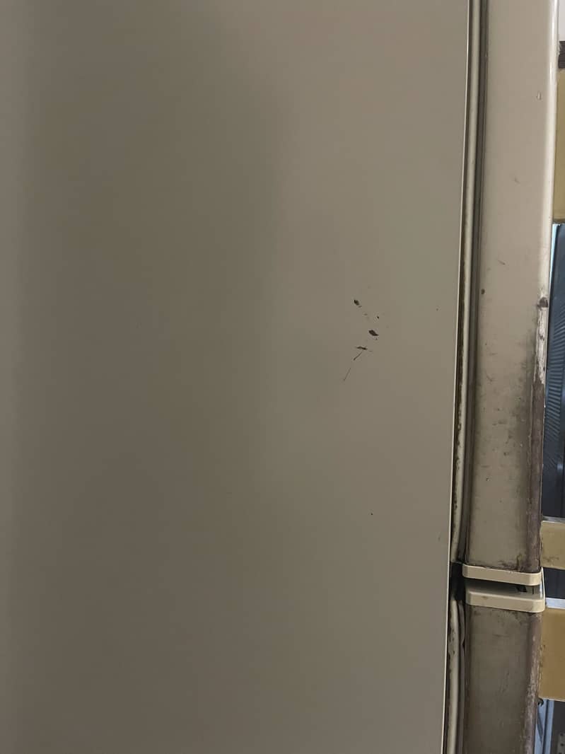 Haier fridge 3