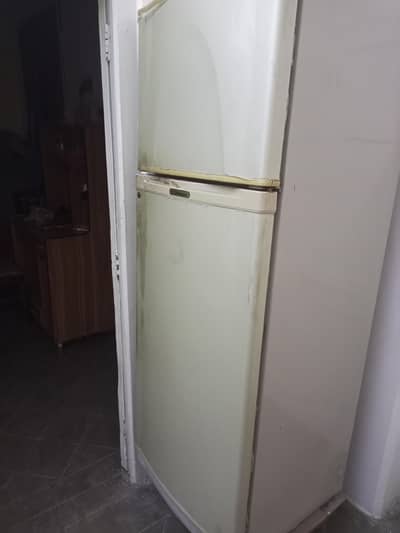 dowlance refrigerator big size