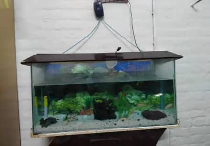 Fish Aquarium For Sale