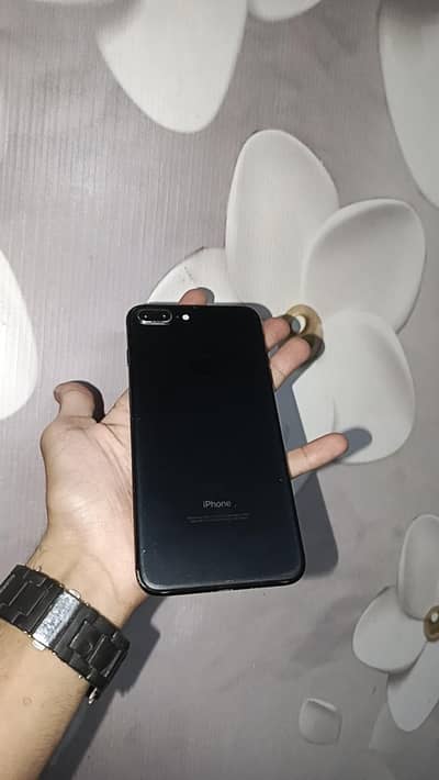 7 plus pta
