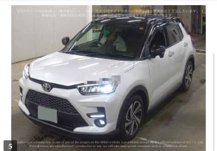 Toyota raiz