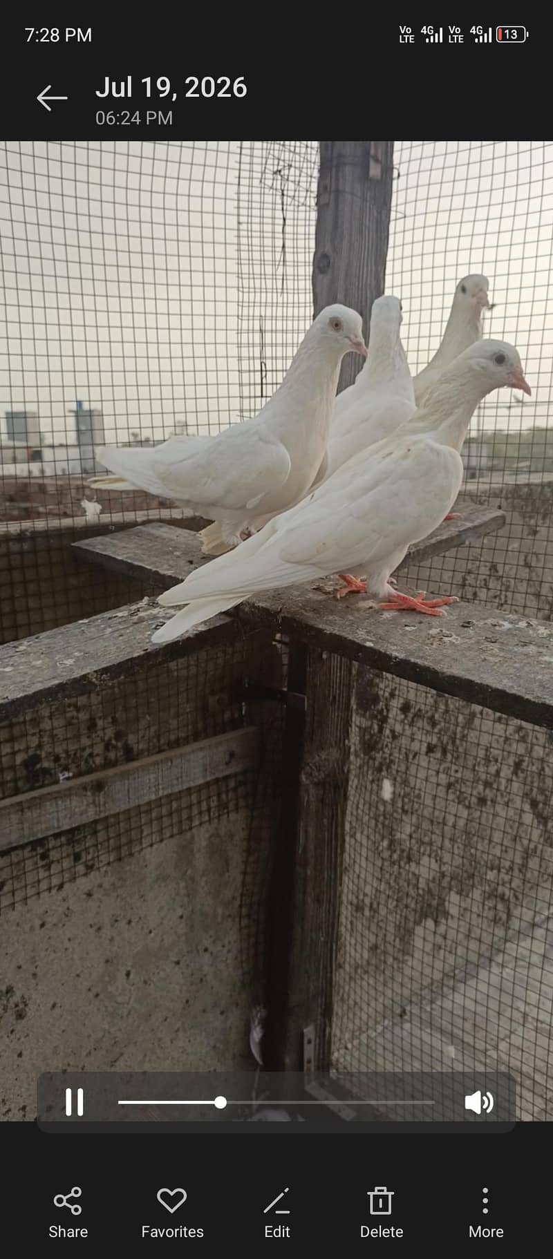 for sell 5