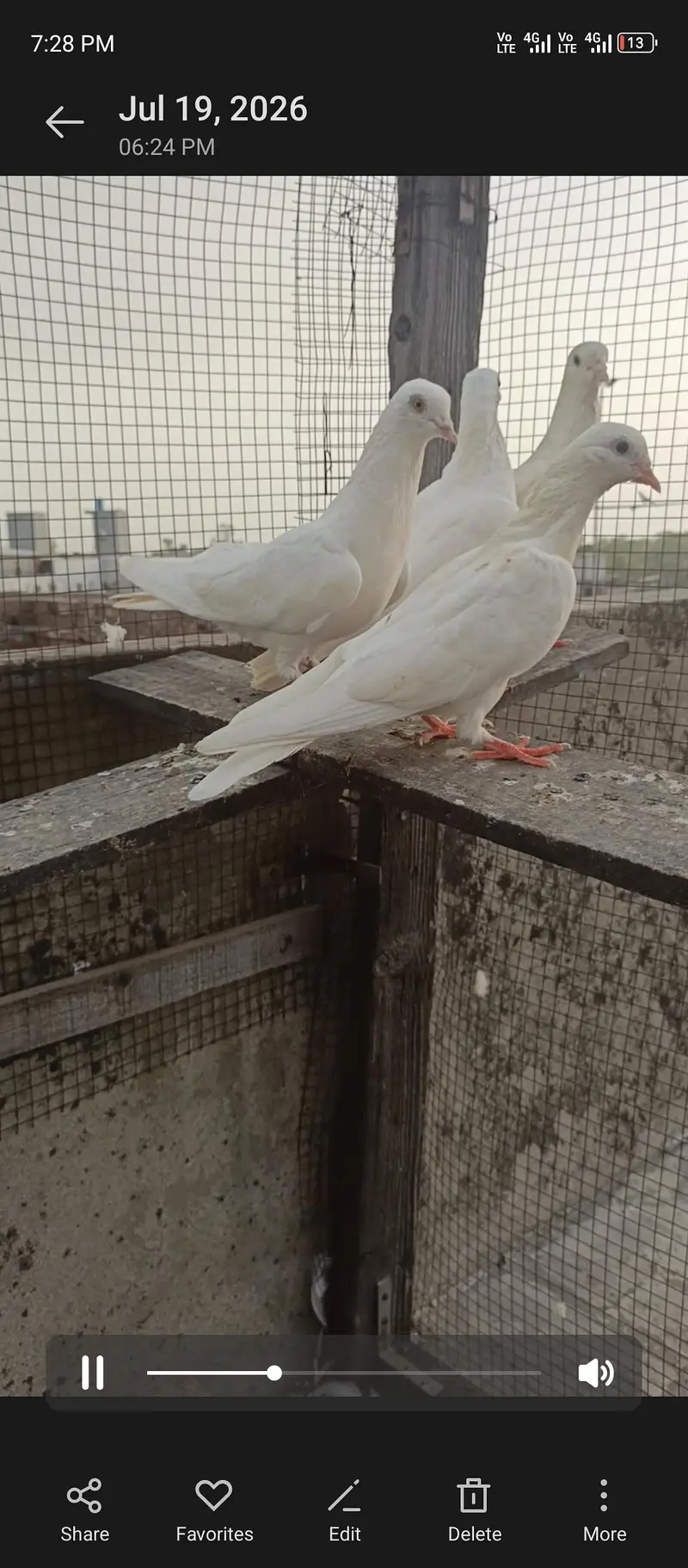 for sell — photo 6