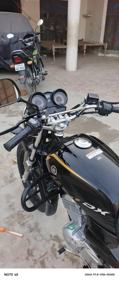 khairpur tamewali district bahawalpur only 5000 chala ha 03085174814