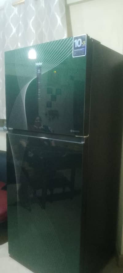 hair fridge 2 door