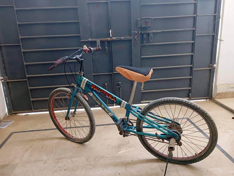 cycle with gears 1
