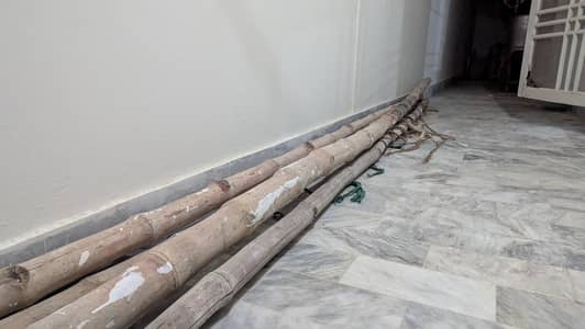 Long Natural Bamboo Poles (Multiple Pieces for Sale)