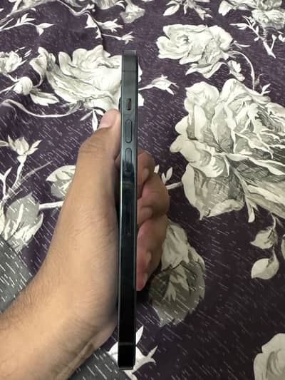 iPhone 12 Pro Max 256 gb pta approved