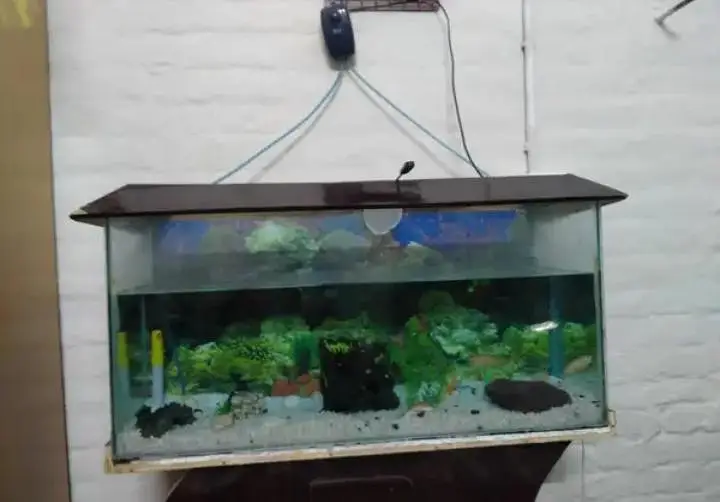 Fish Aquarium for sale