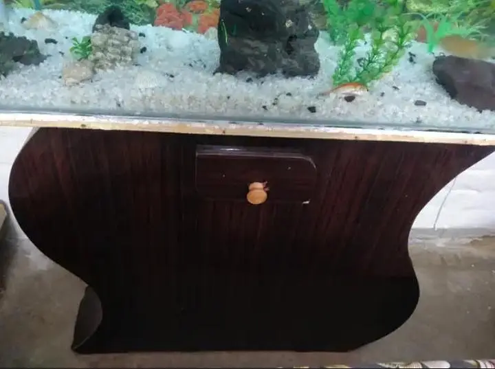 Fish Aquarium for sale — photo 2