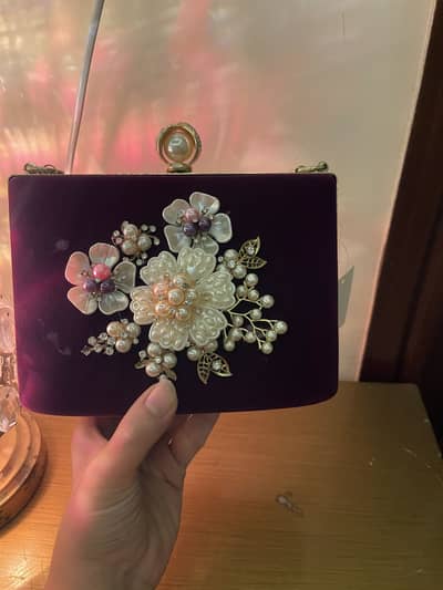 Fancy clutch brand new