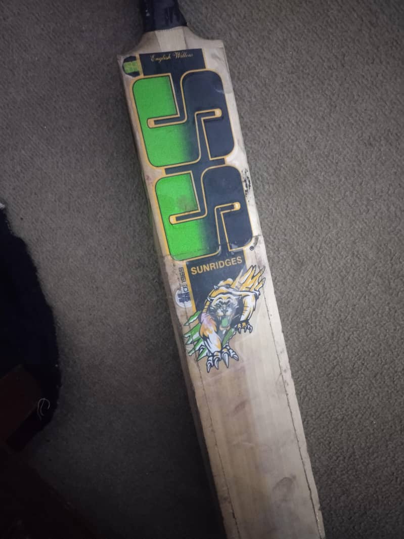 cricket bat 1