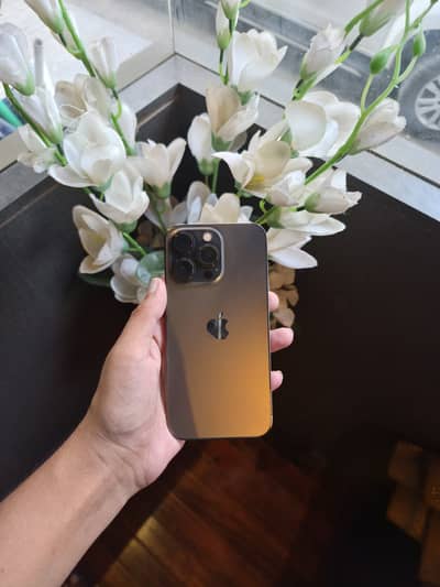 13 Pro Factory Unlock
