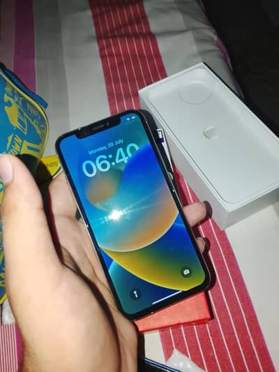 Apple iPhone X