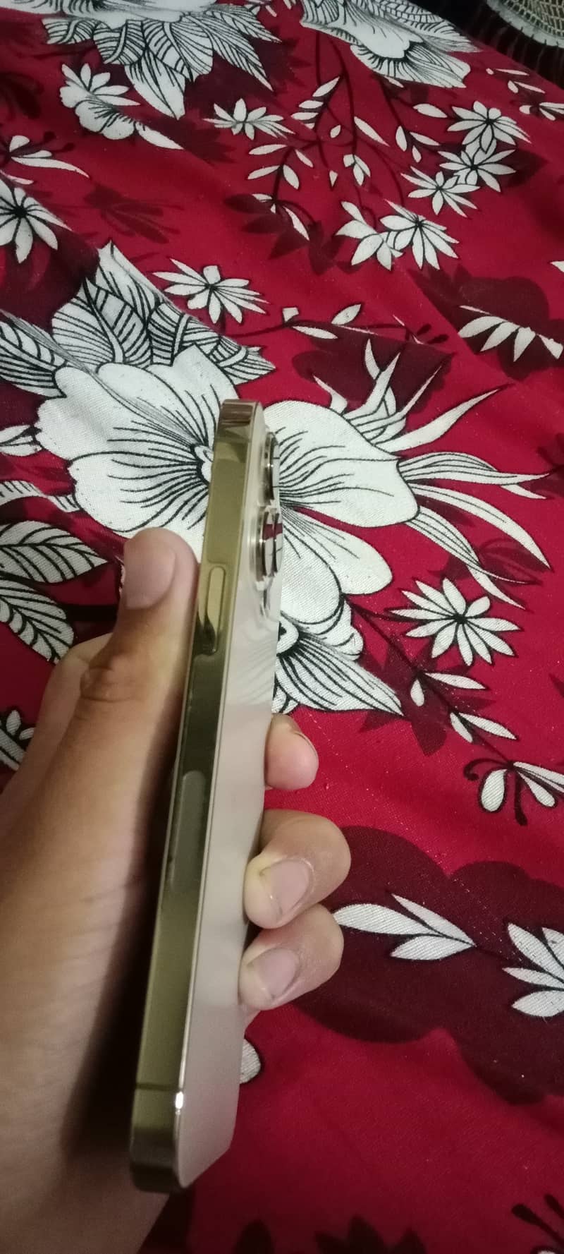 Apple iPhone 13 Pro 1