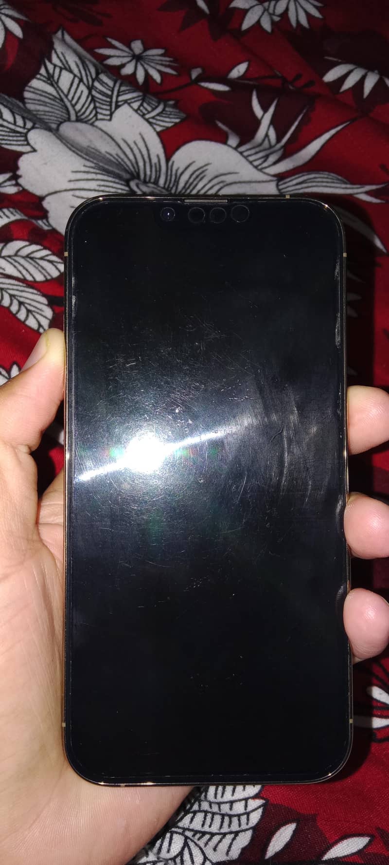 Apple iPhone 13 Pro 2